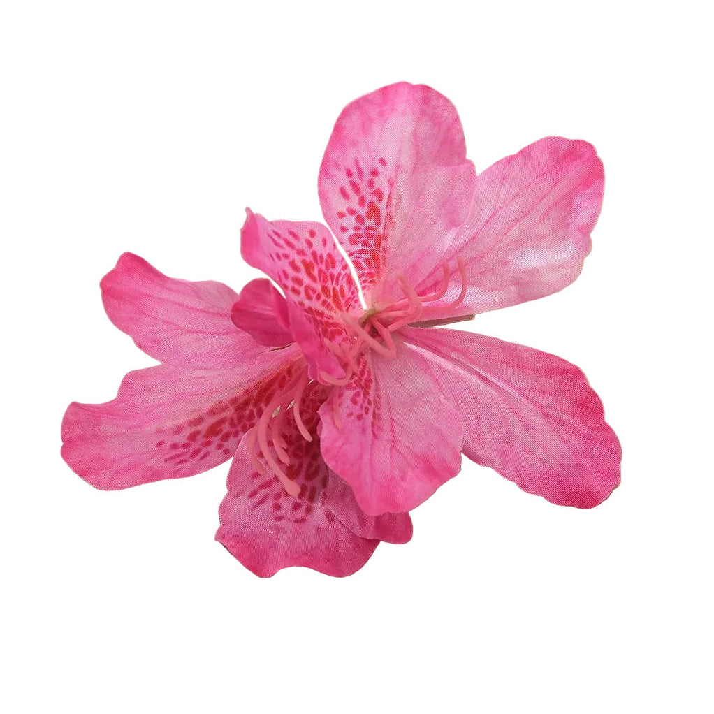 Hawaii Hair Clips