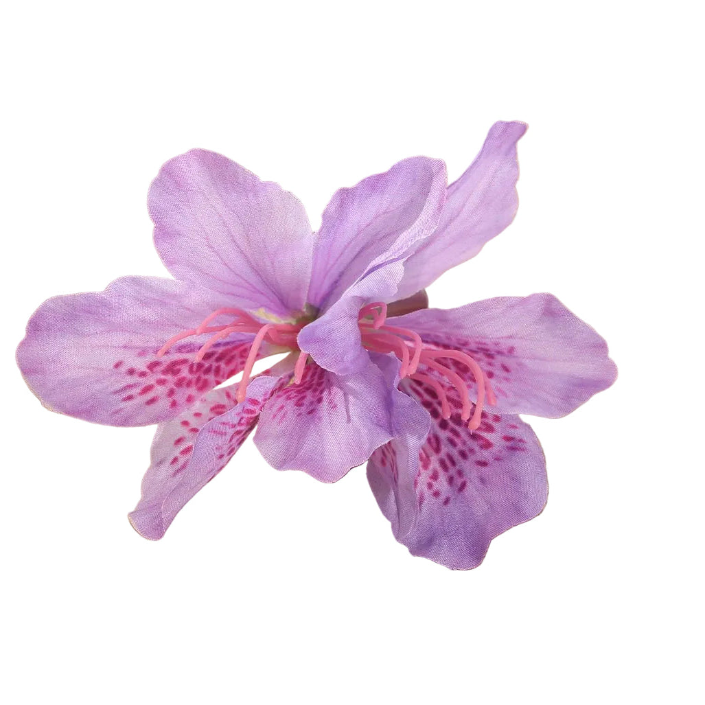 Hawaii Hair Clips