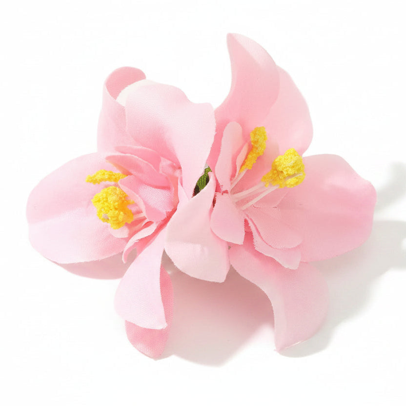 Hawaii Hair Clips