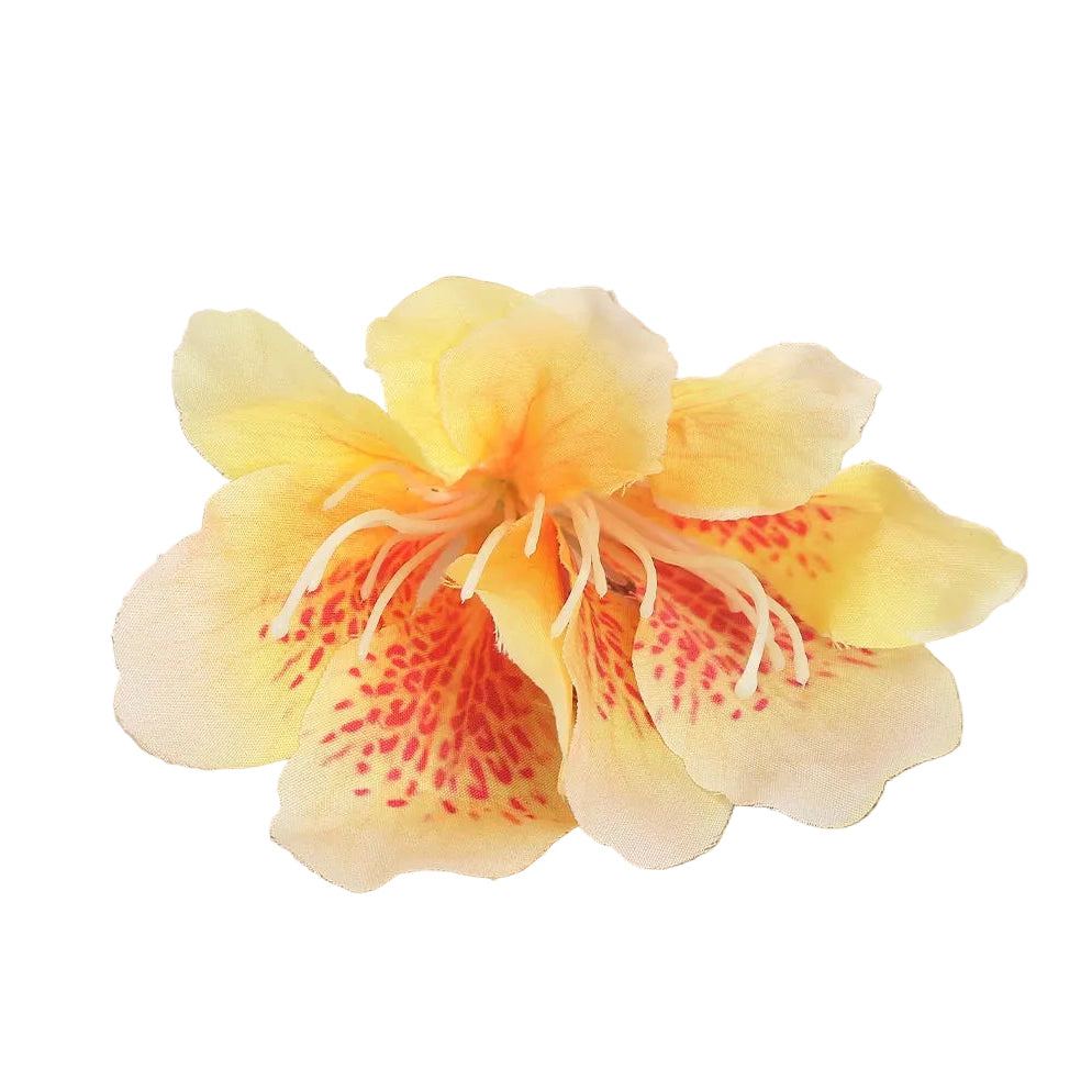 Hawaii Hair Clips