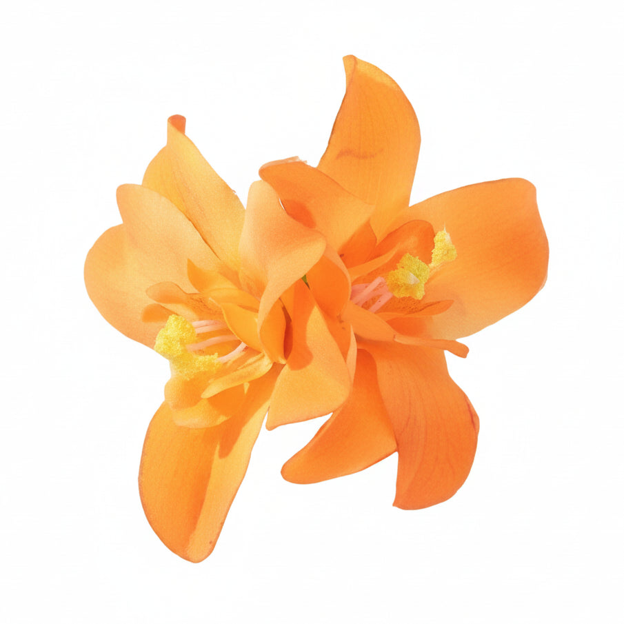 Hawaii Hair Clips
