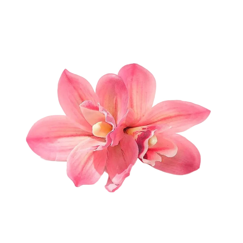 Hawaii Hair Clips