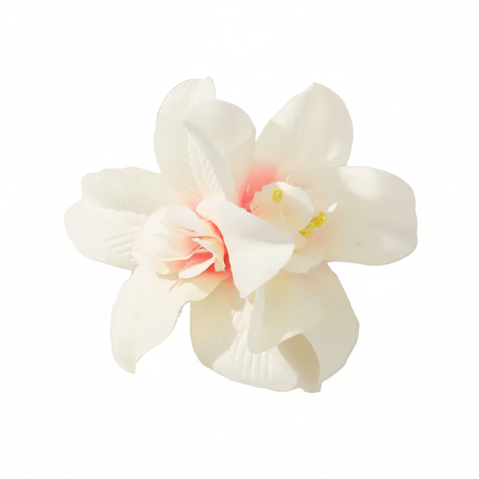 Hawaii Hair Clips